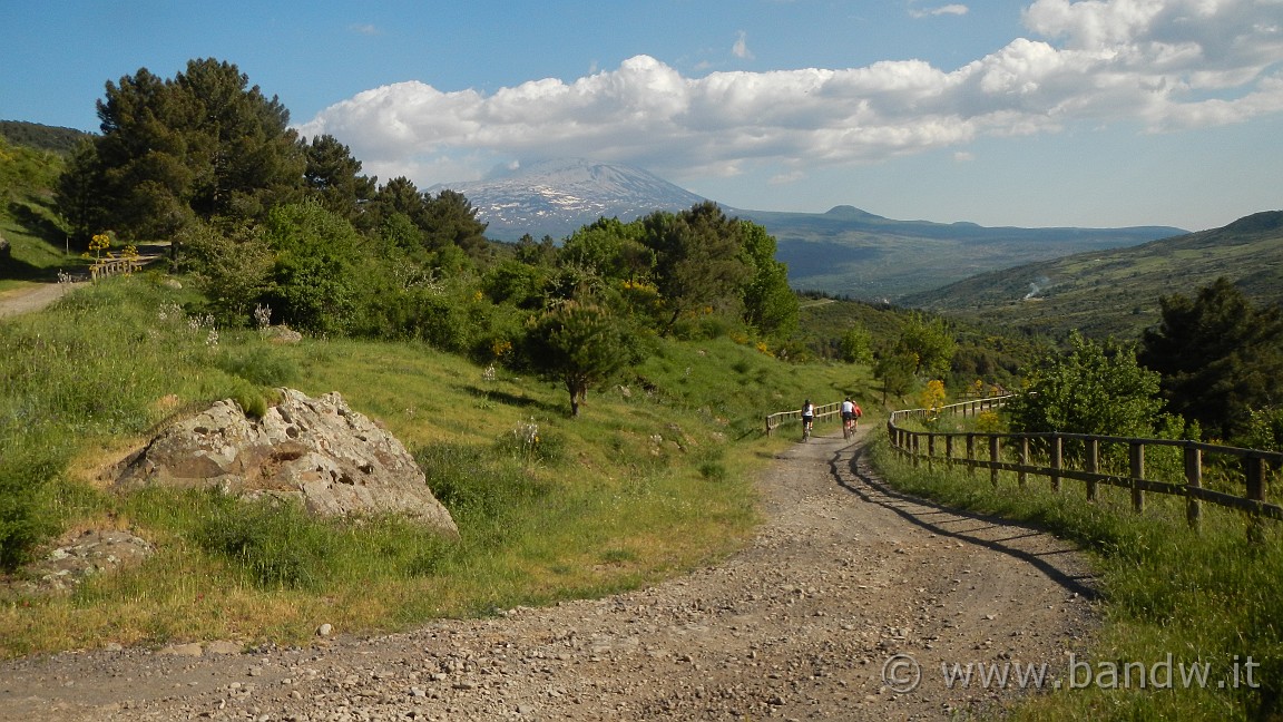 DSCN2978.JPG -                                