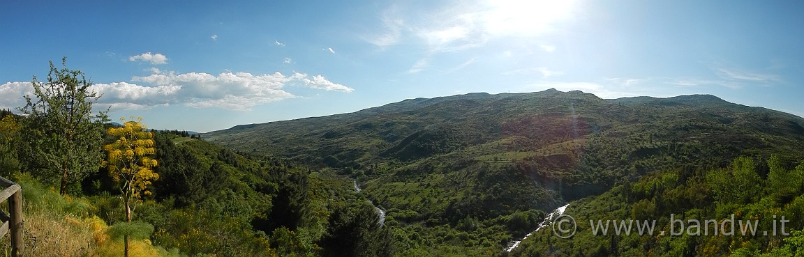 DSCN2980.JPG -                                