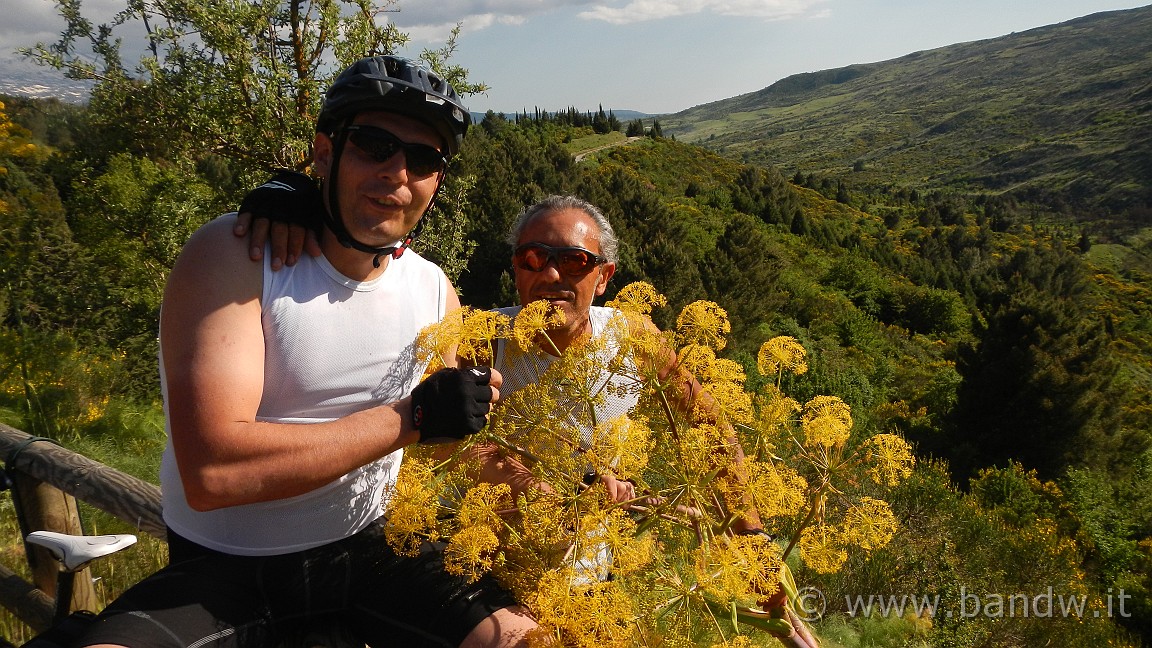 DSCN2982.JPG -                                
