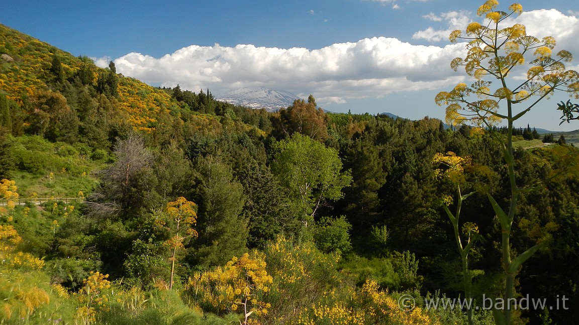 DSCN2983.JPG -                                