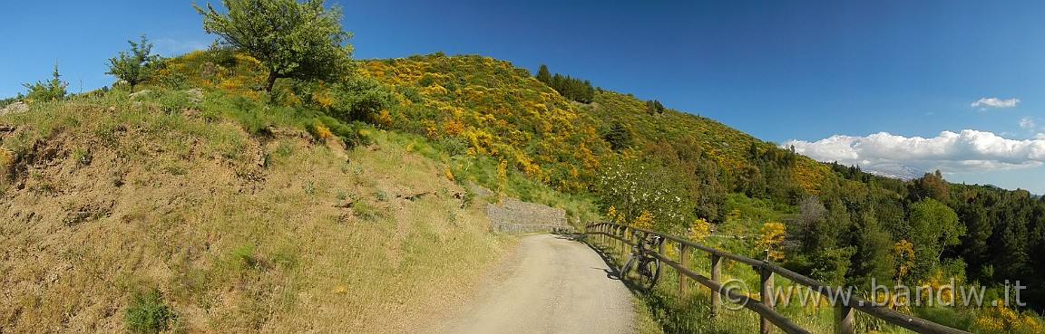 DSCN2984.JPG -                                