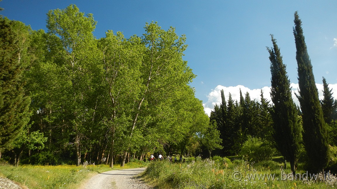 DSCN2985.JPG -                                