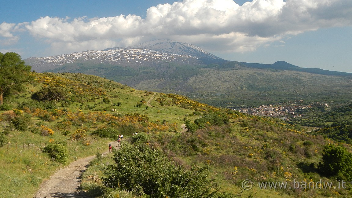 DSCN2987.JPG -                                