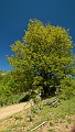 DSCN2817