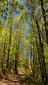 DSCN2845