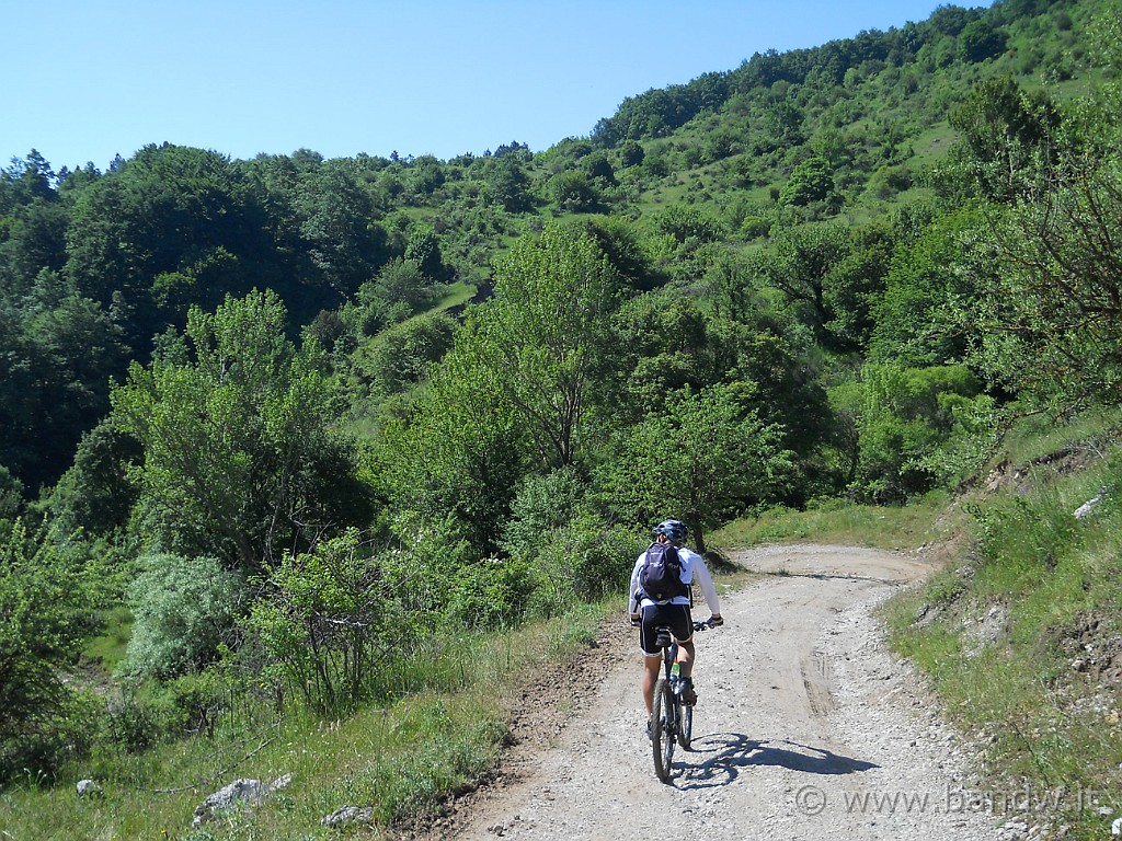 DSCN5110.JPG -           