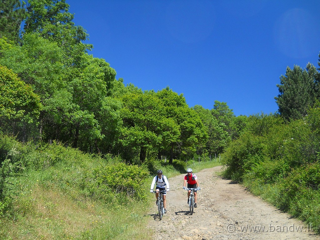 DSCN5122.JPG -           