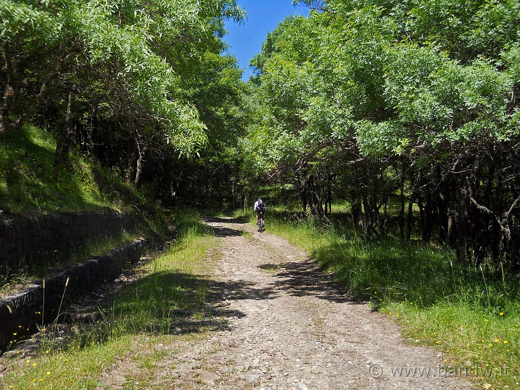 DSCN5125.JPG -           