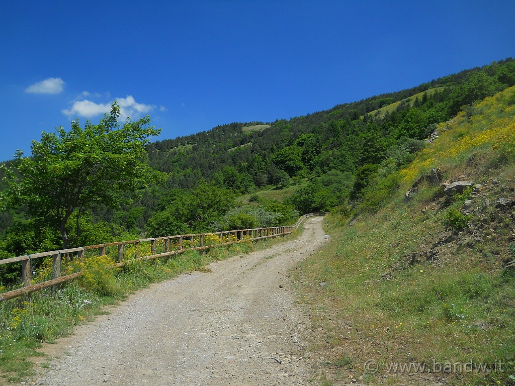 DSCN5149.JPG -           