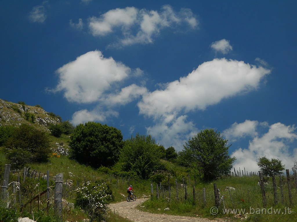 DSCN5162.JPG -           