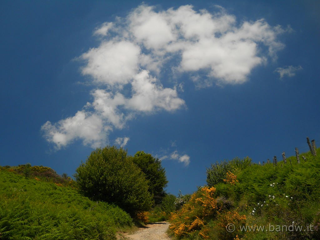 DSCN5163.JPG -           