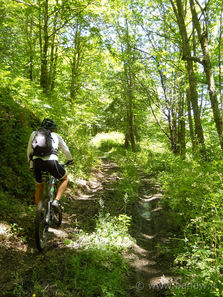 DSCN5168.JPG -           