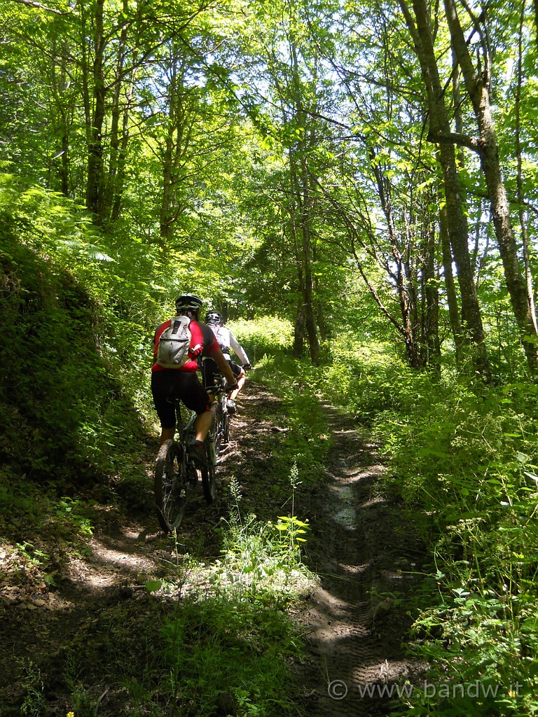 DSCN5169.JPG -           