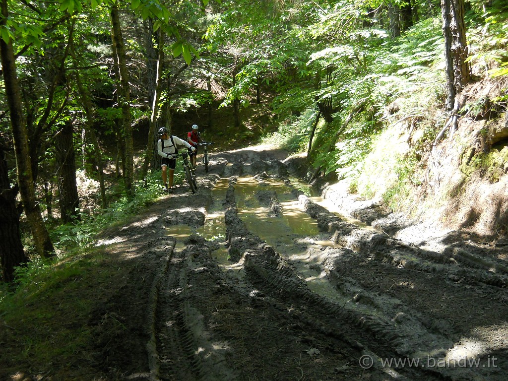 DSCN5175.JPG -           