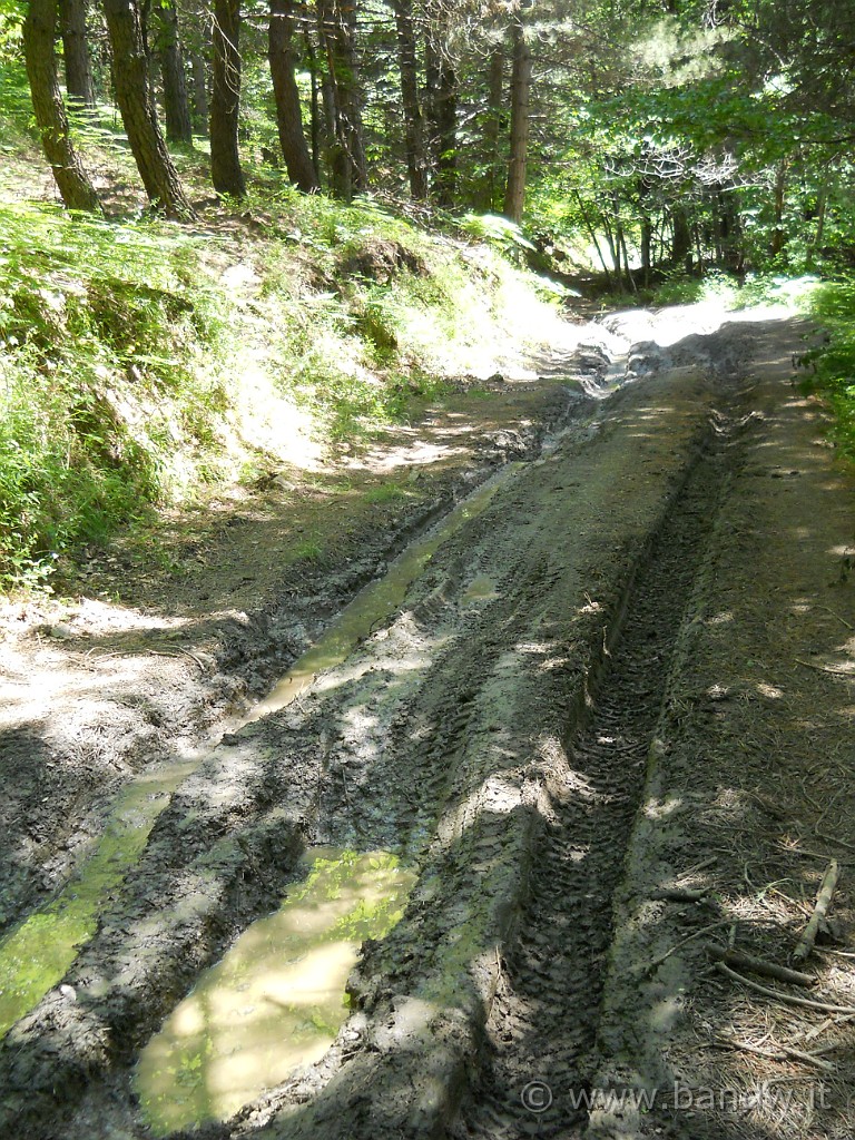 DSCN5176.JPG -           