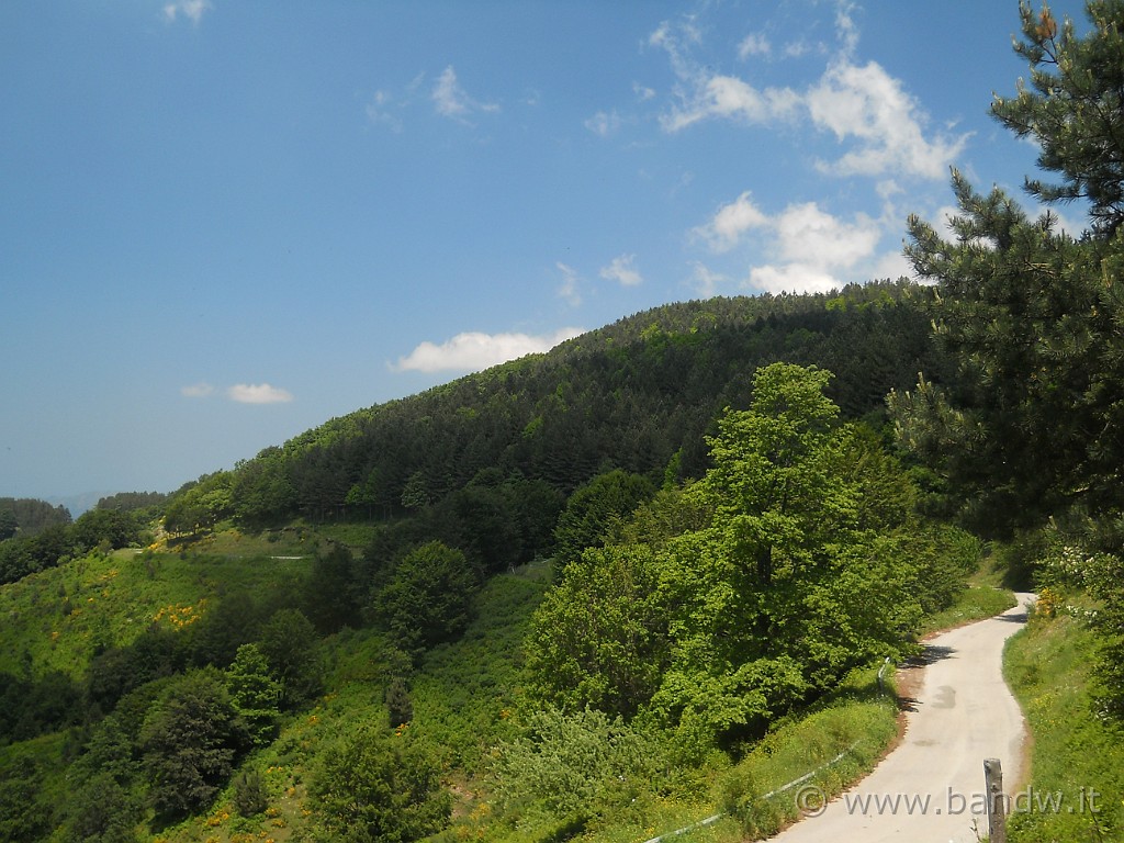 DSCN5180.JPG -           