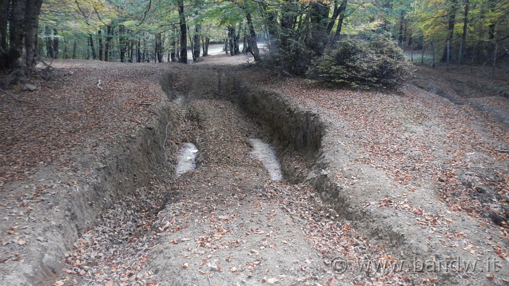 DSCN5080.JPG -                                