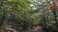 DSCN5032