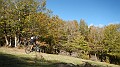 DSCN5077