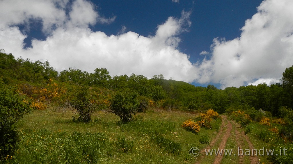 DSCN9665.JPG -                                