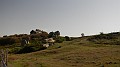 DSCN3982