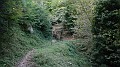 DSCN3984