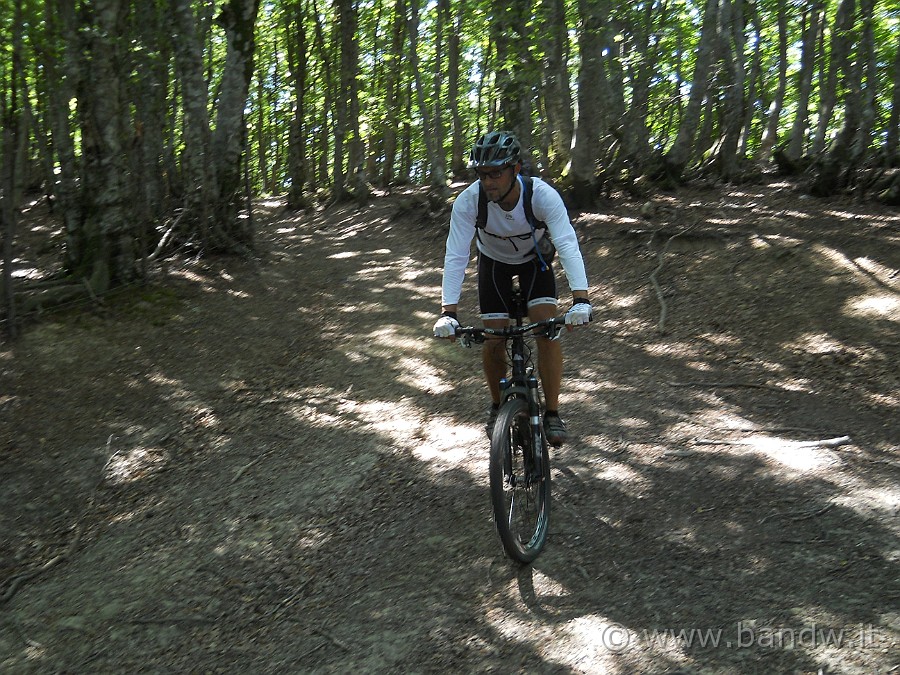 DSCN6190.JPG - ................