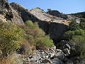 DSCN6163