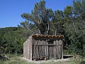 DSCN6173