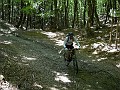 DSCN6186