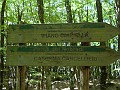 DSCN6188
