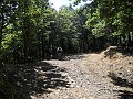DSCN6194