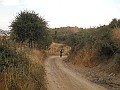 DSCN6206