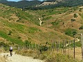 SDC17085