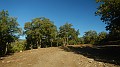DSCN5230