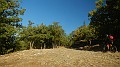 DSCN5231