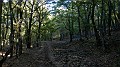 DSCN5236