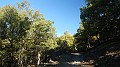 DSCN5239