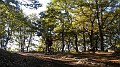 DSCN5240