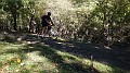 DSCN5241