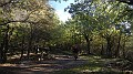 DSCN5242