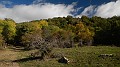 DSCN5244