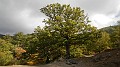 DSCN5248