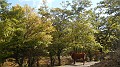 DSCN5249