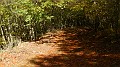 DSCN5251