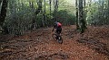 DSCN5253