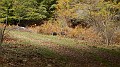 DSCN5257
