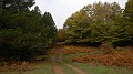 DSCN5260