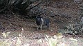 DSCN5262