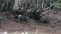 DSCN5263